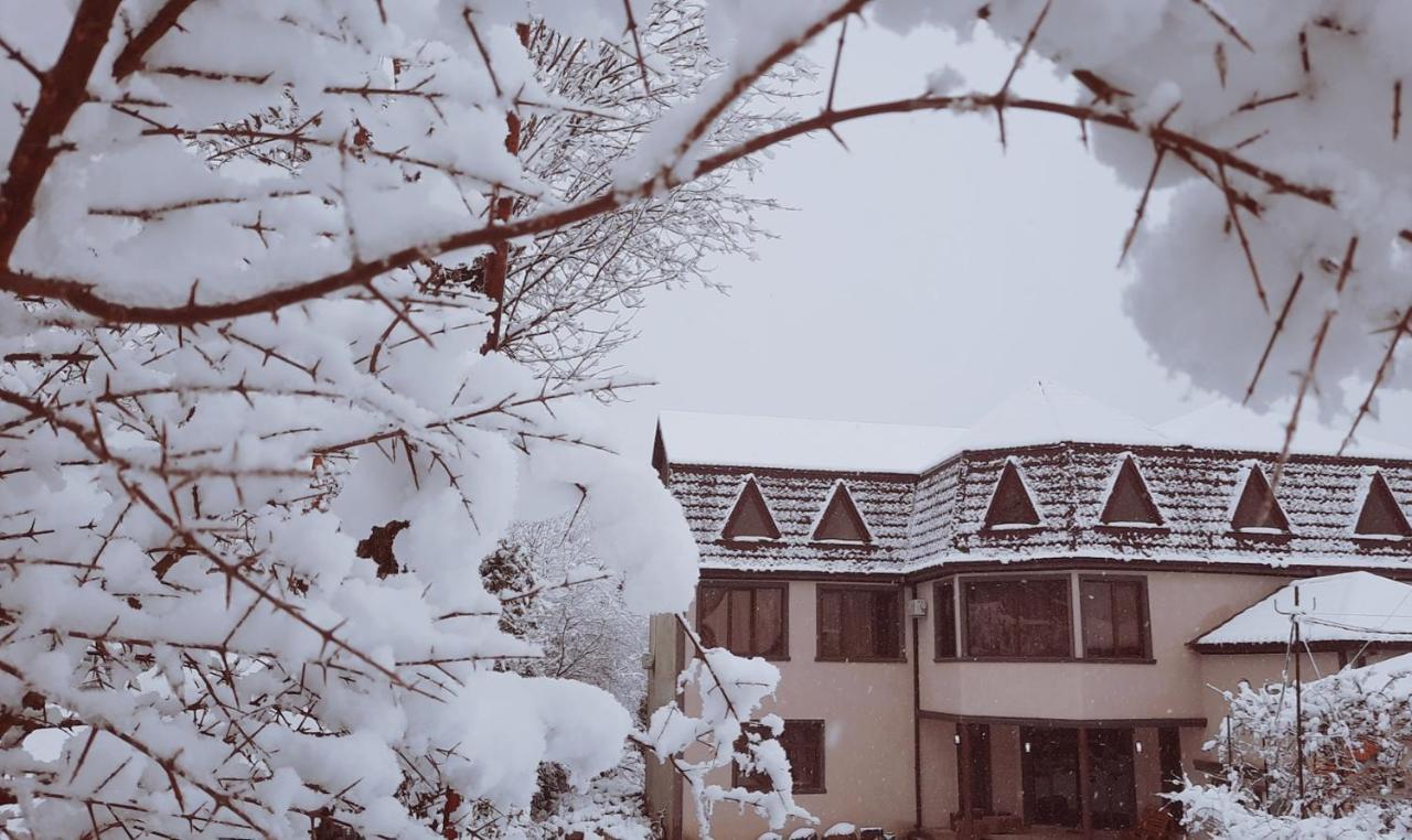 Inaisi Hotel Кутаїсі Екстер'єр фото